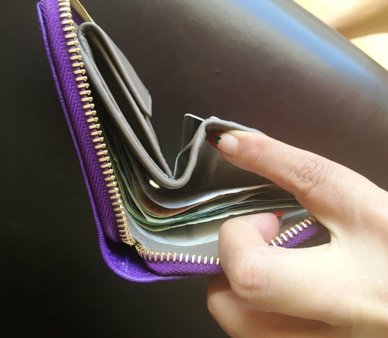 The Perfect Wallet to Downsize : Furla Babylon Zip Around S