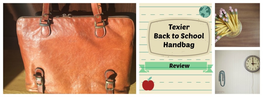 danetigress fashion beauty backtoschool handbag review luxury leather