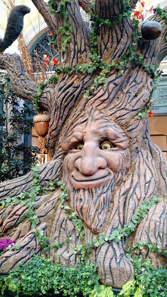 14680775_10155337030587926_2560937612088751417_n