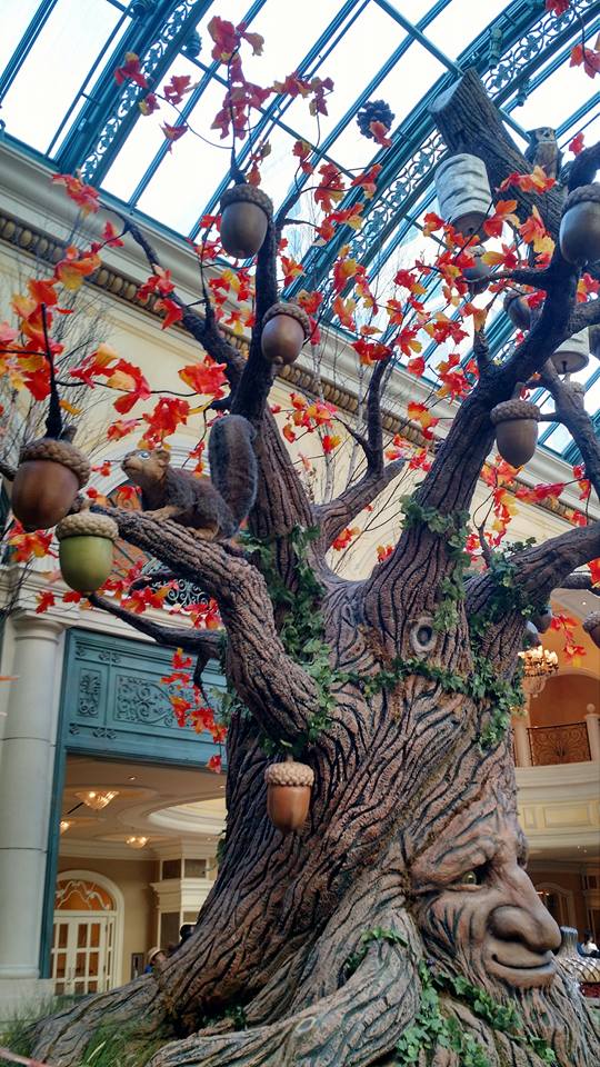 14721574_10155337033347926_325307040642419963_n