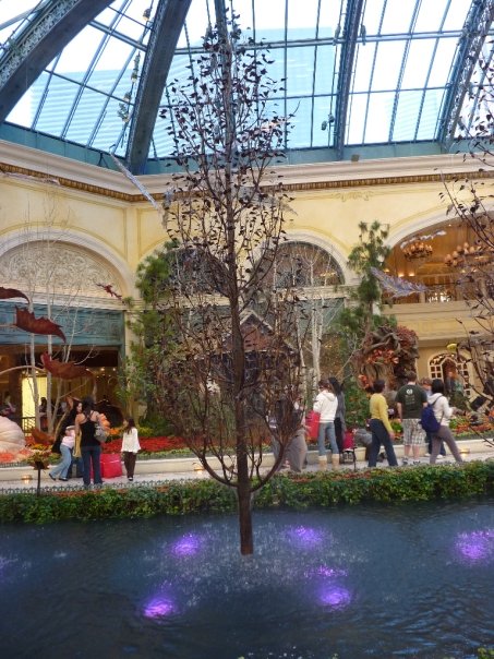 1918690_213112023412_6571972_n